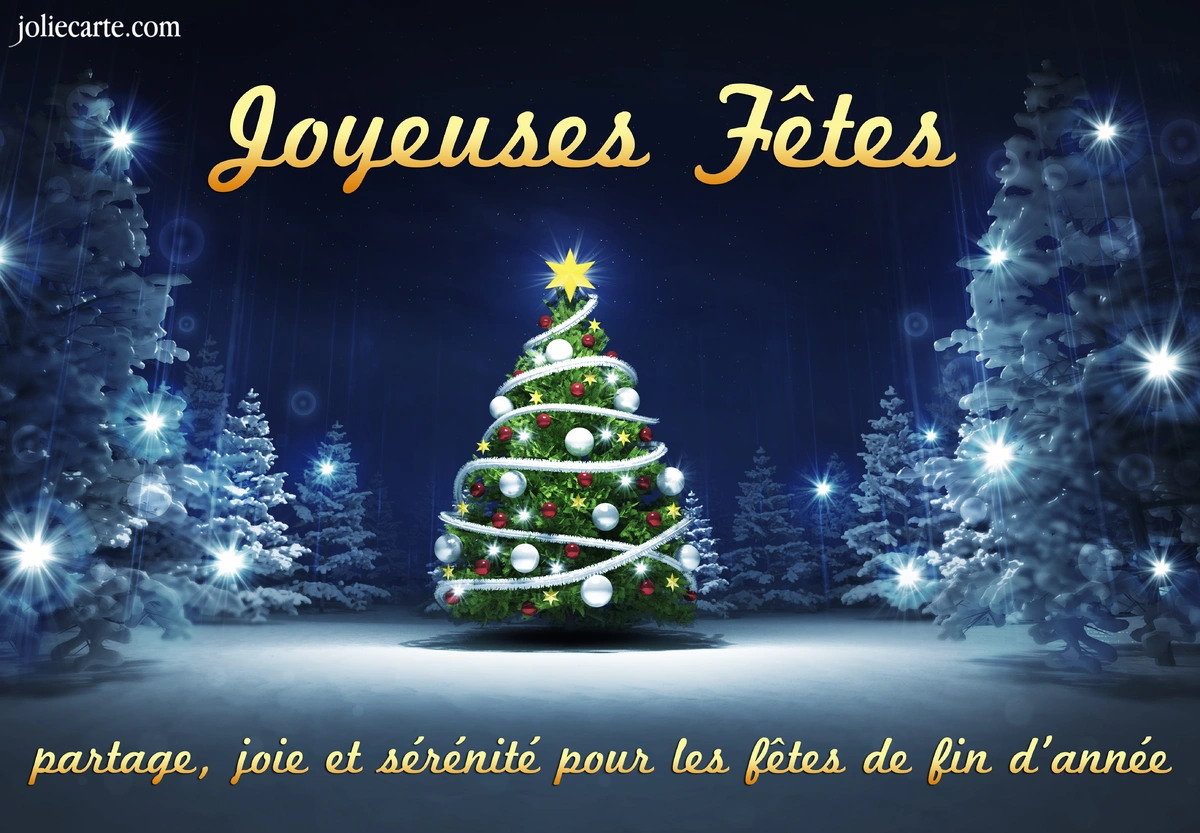 Toute l'Equipe vous souhaite de très joyeuses Fêtes de fin d'Année !